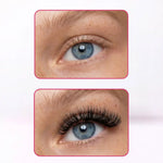 Lashfolio Promade 8D – 0.07 CC | Lashbook Mix 8-13mm – 250 Fans Pré-faits Cils